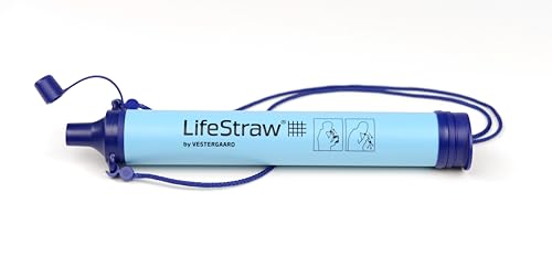 LifeStraw Personal Water Filter for